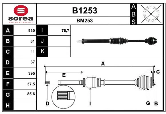 B1253