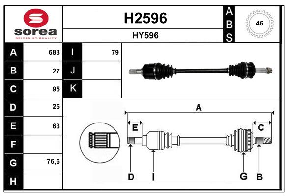 H2596