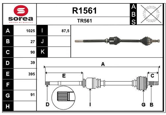 R1561