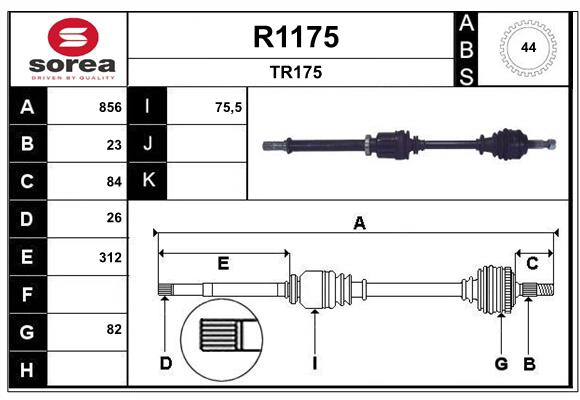 R1175