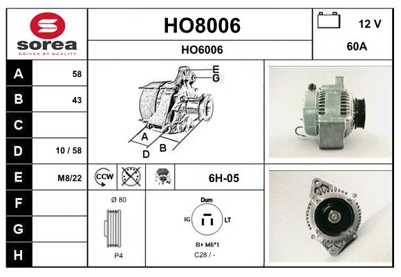 HO8006