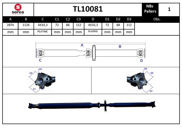 TL10081
