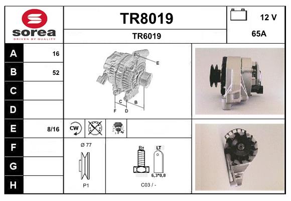TR8019