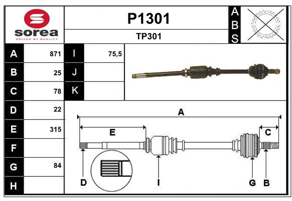 P1301