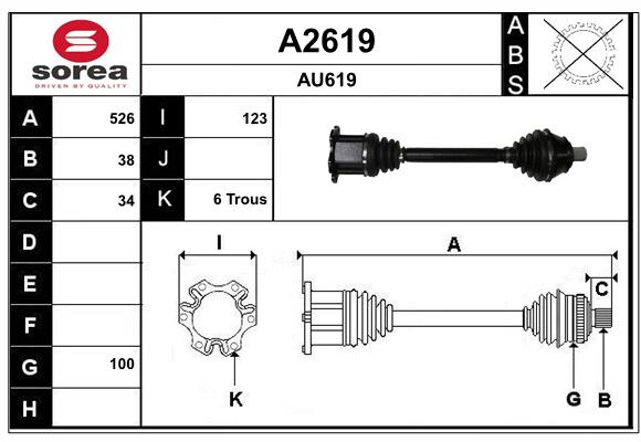 A2619