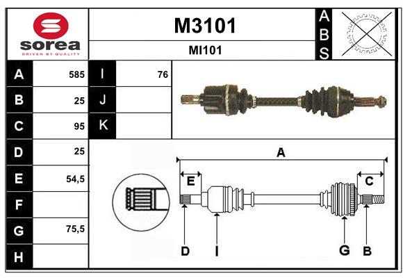 M3101