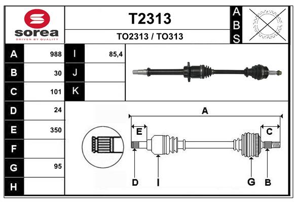 T2313