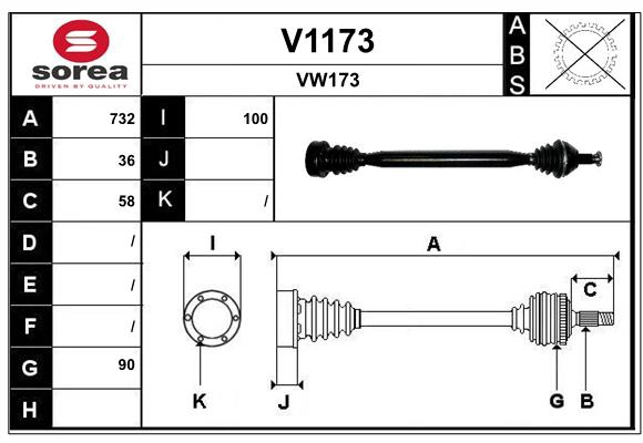 V1173