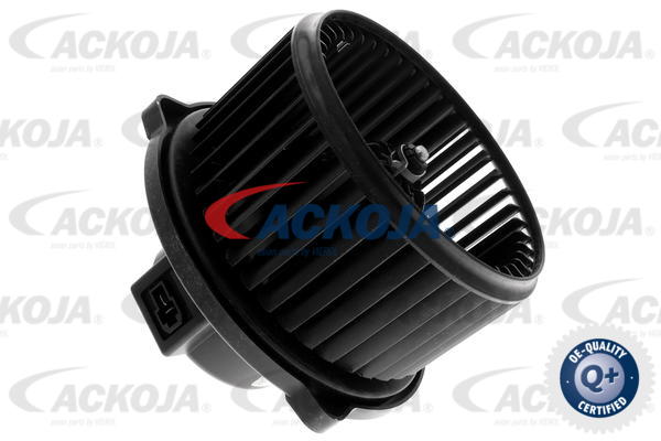 A52-03-0009