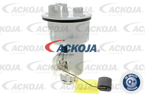 A52-09-0009