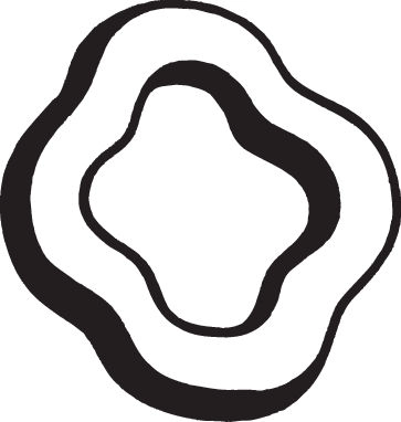 255-013