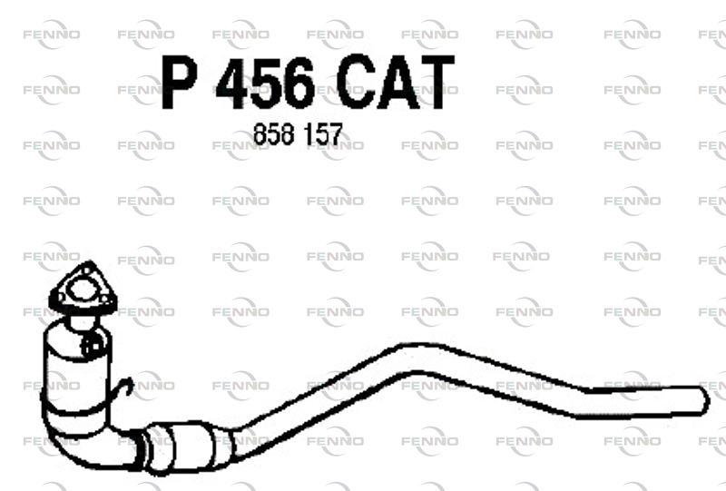 P456CAT