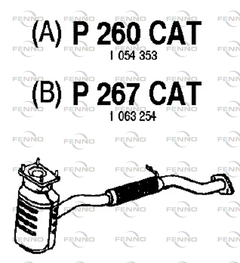 P267CAT
