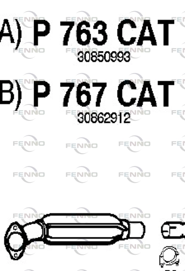 P763CAT