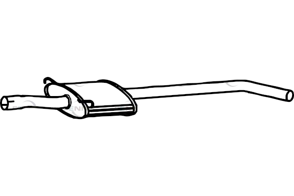 P5019