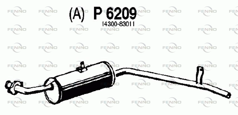 P6209