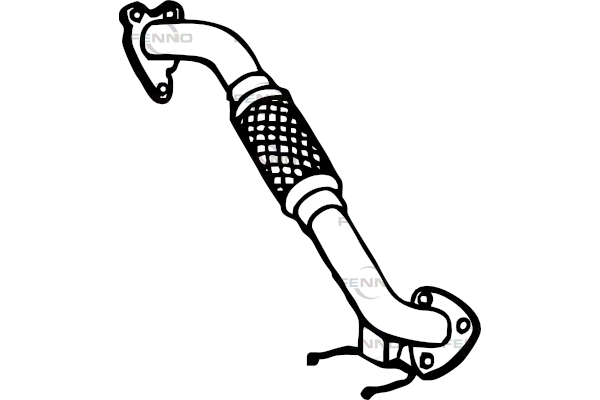 P5544