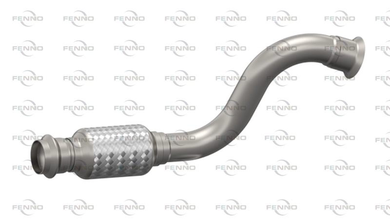 P46019