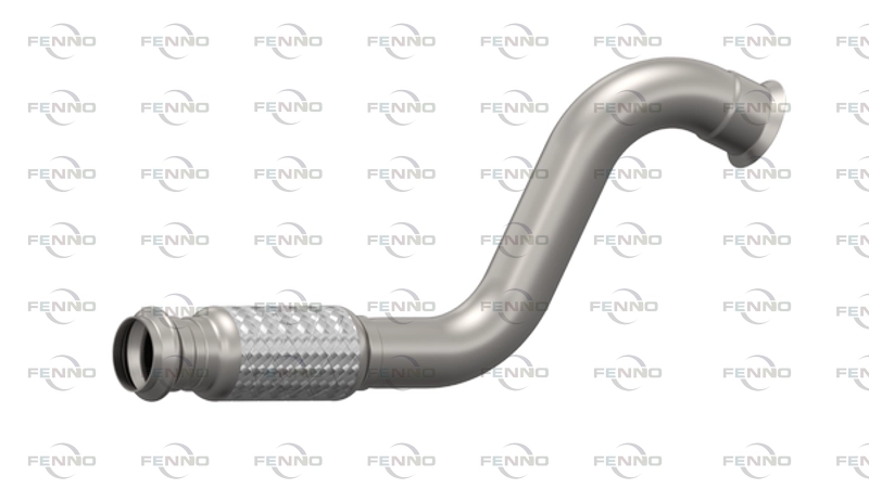 P46029