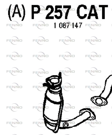 P257CAT