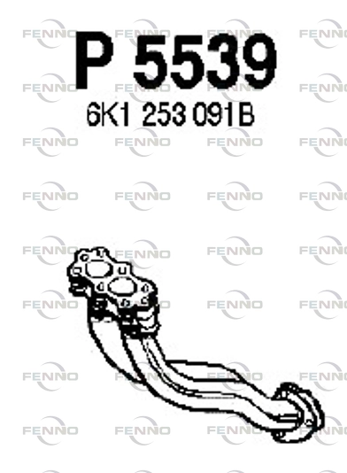 P5539
