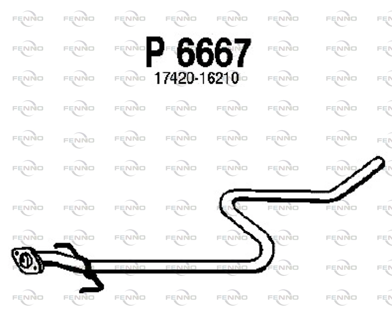 P6667