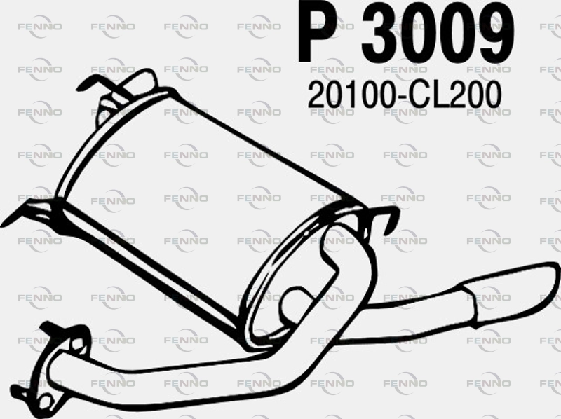 P3009