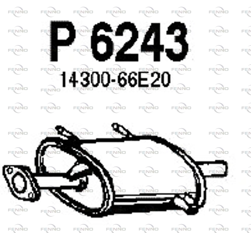P6243