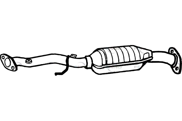 P667CAT