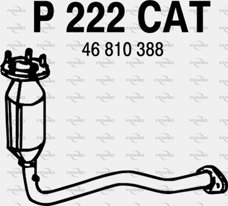 P222CAT