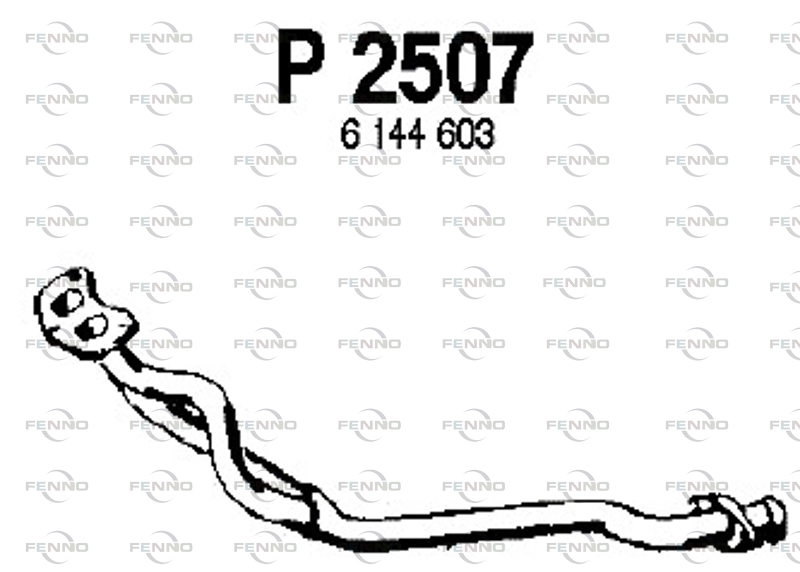 P2507