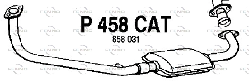 P458CAT
