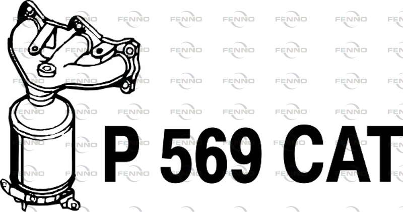 P569CAT