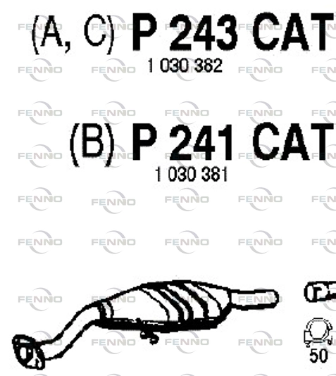 P243CAT