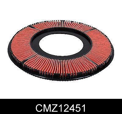 CMZ12451