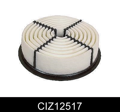 CIZ12517