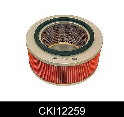 CKI12259