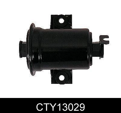 CTY13029