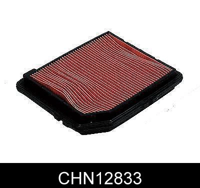 CHN12833