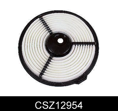 CSZ12954