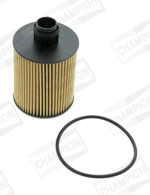 COF100600E