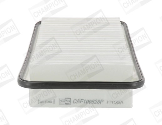 CAF100828P