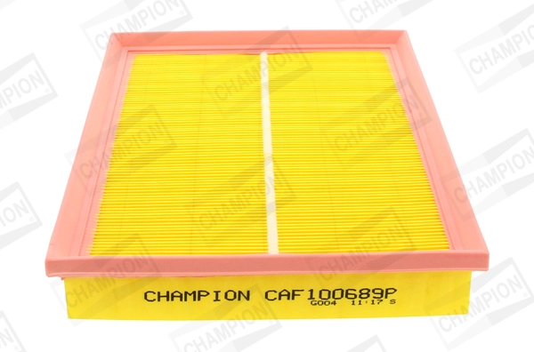 CAF100689P