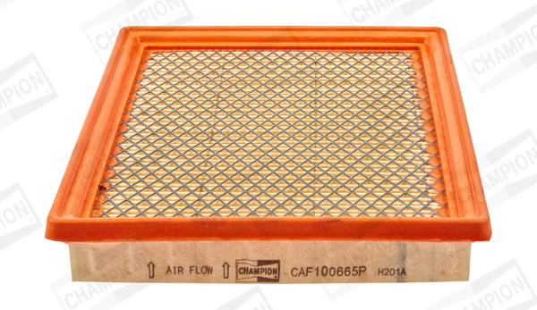 CAF100665P