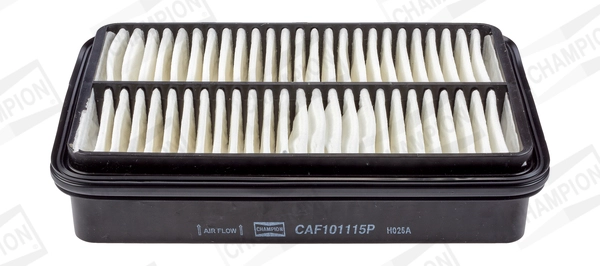 CAF101115P