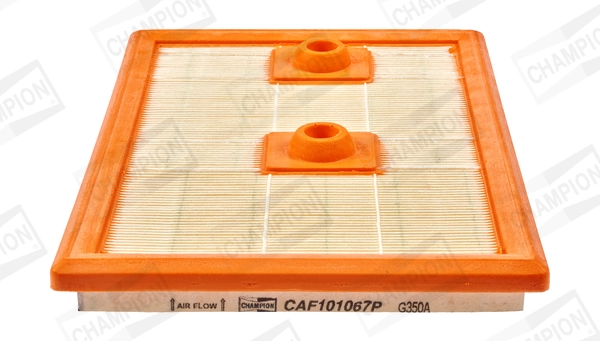 CAF101067P