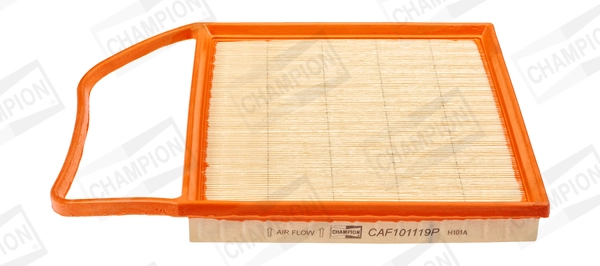CAF101119P