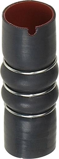 R11384