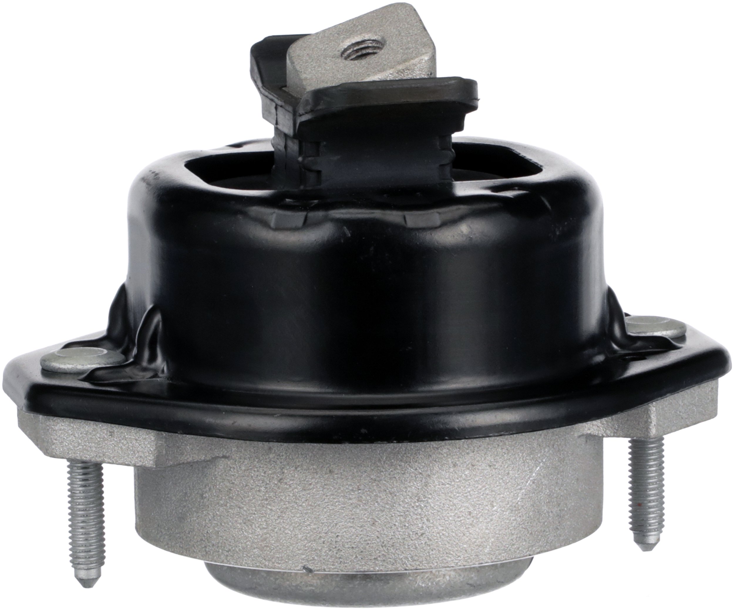 R55564
