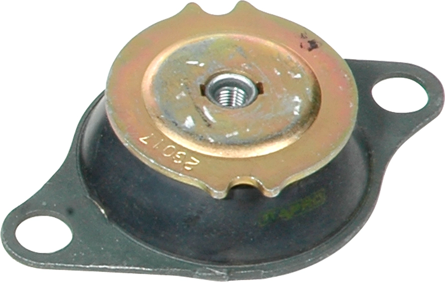 R59504